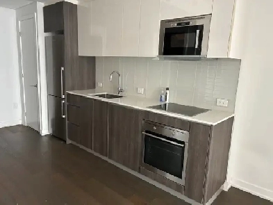 Downtown Luxury Condo for Rent for December OR January 1st Image# 7