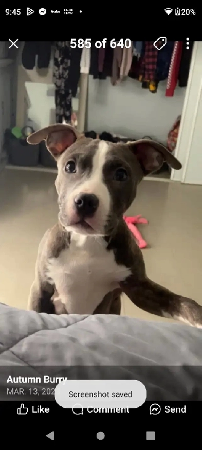 Room For Rent Nov 1st Shared kitchen Bathroom 700/month Image# 14