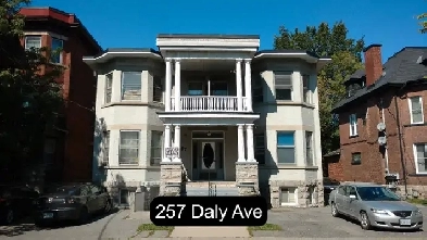 Sandy Hill Bachelor/Studio Apartment for Rent (257 Daly Ave) Image# 4