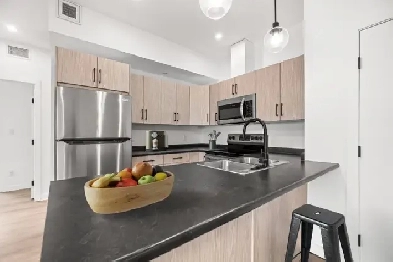 LUXURY 3 Bedroom Apartment! Available December 1st! Image# 4