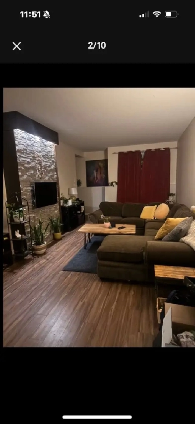 Beautiful 2 bed 1 bath rental with garden/ patio Image# 10