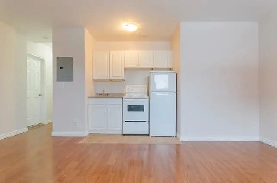 227 Notre Dame Ave - Newly Renovated Bachelor For Rent Image# 6