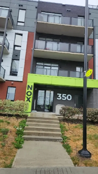 Belle chambre a louer-Plateau- Nice Room for rent - All inclusiv Image# 1