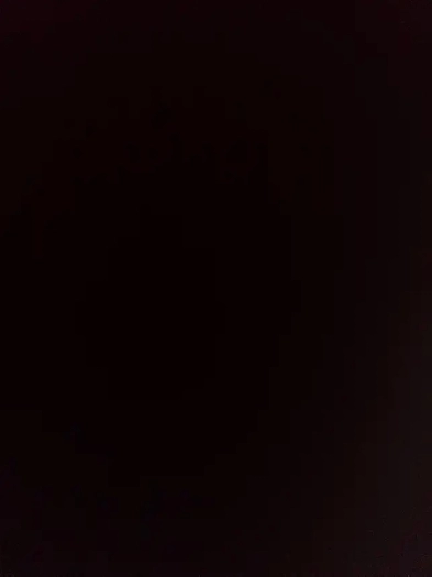 2 Bedroom Basement in Malton Image# 1