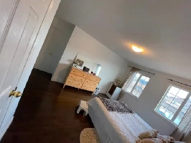 Huge Studio-Sized Room For Rent in Milton - Female Accommodation Image# 1