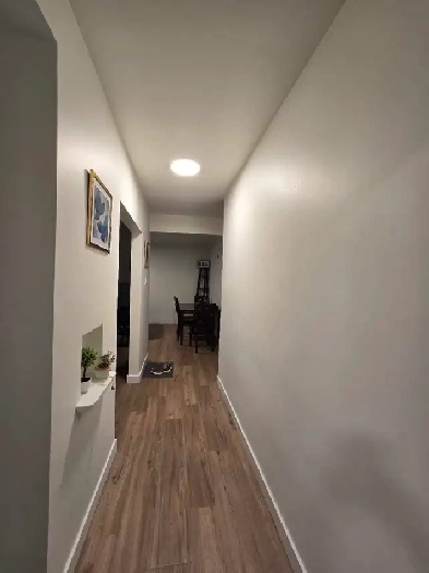 Apartment For Rent At 296-Broadway Image# 5