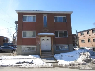 Spacious one-bedroom apartment in a 6-unit building Image# 2