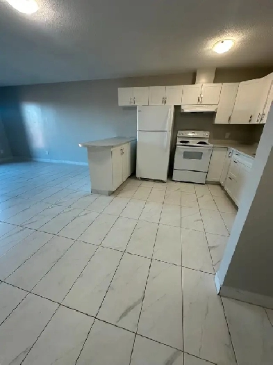 3 Bedroom Apartment Available now in Minnow Lake Area Image# 3