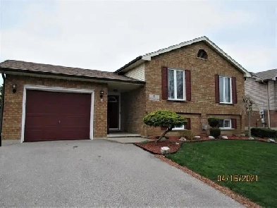 Exec. Main floor 3-Bdr    fenced yrd.   2 Parkg – Brier Park Image# 2