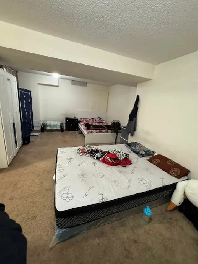 WALKOUT  BASEMENT  FOR RENT  IN BRAMPTON Image# 4