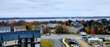 Beautiful 1 bedroom in Halifax Image# 1