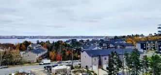 Gorgeous 1 bedroom in a beautiful new building Image# 1