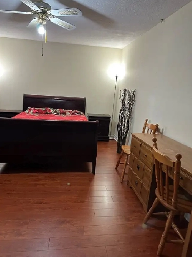 Room for Rent Image# 5