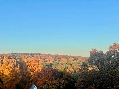 Two Bedroom Two Bathroom Apartment Image# 4