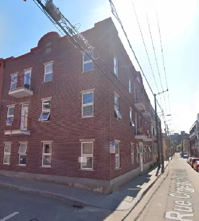 Superbes 3 1/2 entièrement rénové Libre centre-ville Image# 4