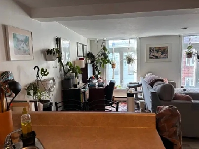 Superbe 3 1/2, rue Kirouac, Basse-ville RÉNOVÉ PROMO ! Image# 7