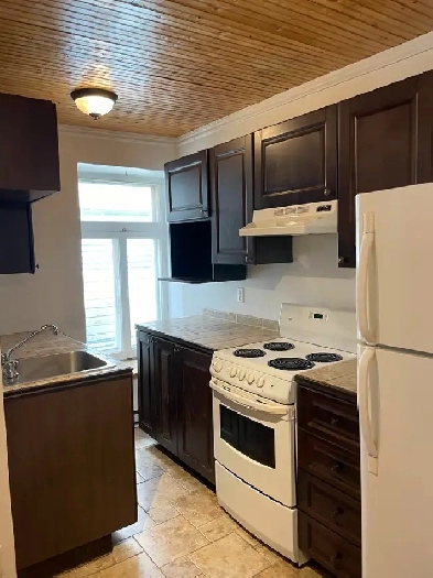 Très beau grand 1 1/2, Vieux-Québec, novembre belle terrasse Image# 17