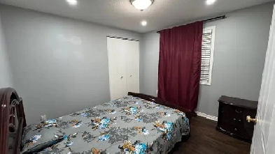 one bedroom rent Image# 1