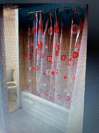 Unique Bachelor Apartment Image# 1