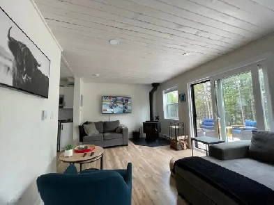 November 16th availability Image# 1