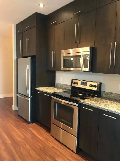 Two Bedroom   Den - Available November 15th or December 1st Image# 3