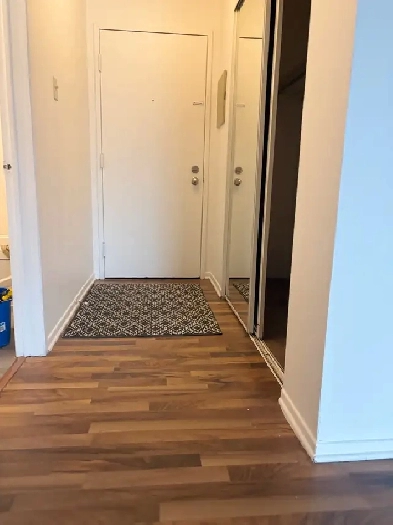 LOGEMENT D'AIRE OUVERTE - OPEN CONCEPT APARTMENT Image# 1