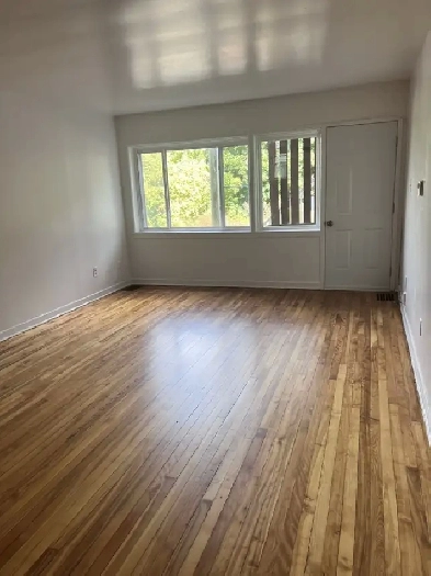 Bachelor Apartment Image# 1