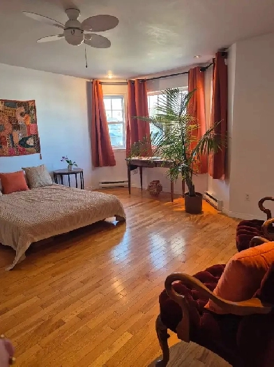 chambre a louer dans maison familiale Image# 1