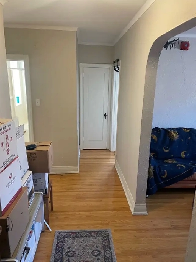 Large 1 bed 1 bath, Osborne village Image# 1