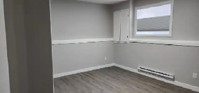 1 large bed room Basement suite for rental Rosewood. Image# 1