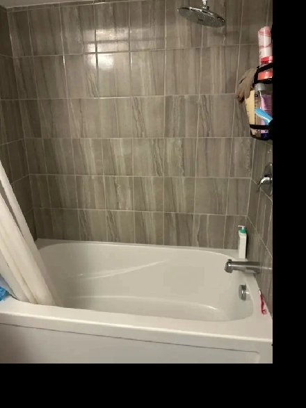 Basement for rent Image# 1