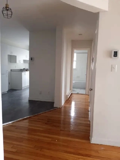 Logement 4 1/2 à louer (coopérative d'habitation)