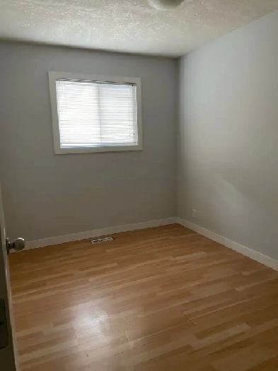 main floor room close to SAIT for female Image# 1