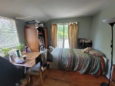 Bachelor apartment - Near UOttawa - Available Jan to April, 2026 Image# 1