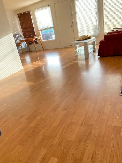 Utilities & WiFi Included/ Balcony/5 min walk to Franklin Ctrain Image# 1