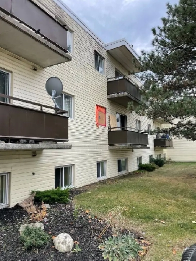 Upper 1 bedroom southend apartment for rent Image# 1