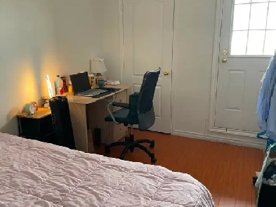 PRIVATE ROOM FOR RENT AT YORK UNIVERSITY Image# 1