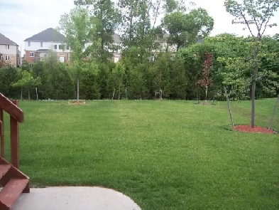 1 Bedroom, brand new, modern, high end, private lower unit apt Image# 1