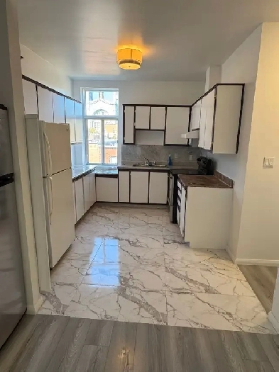 5 1/2 métro Charlevoix /décembre