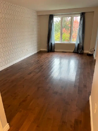 Bright, Renovated South End Home (main & upper level) – ALL INCL Image# 1