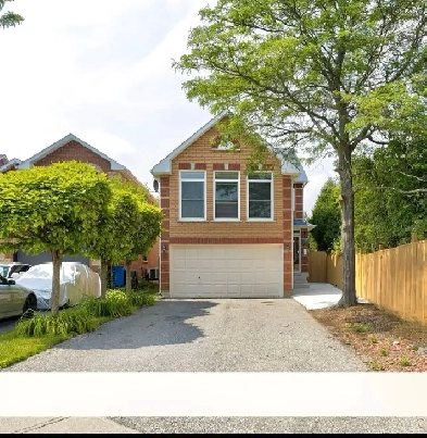 1 Bed-1 Bath-Legal apartment-Dec 1 Image# 1