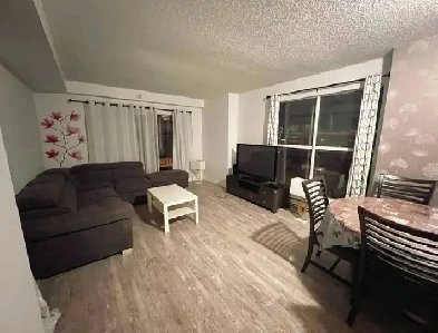 One room for rent in a 2-bedroom Private bath and shower Image# 7