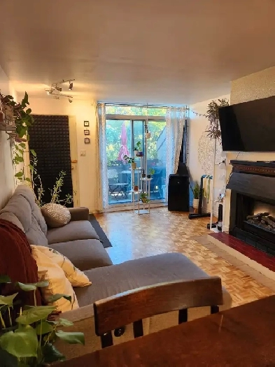 Grand 3 1/2 Hochelaga Maisonneuve spacieux fraîchement repeint Image# 3