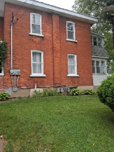 Apartment for Rent Image# 2