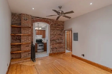 1 Bedroom Downtown Apartment For Rent Image# 6