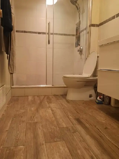 Beautiful Rooms for rent in North York (3 options) Image# 1