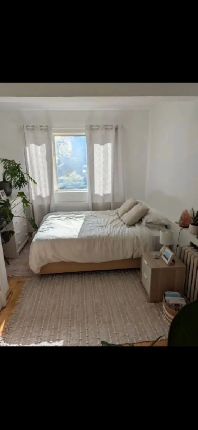 High Park Blvd-Roncesvalles Clean quiet PRIVATE Room No Sharing Image# 1