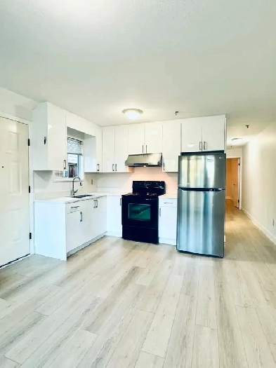 Modern   Renovated 2-Bed 1-Bath Suite By Trout Lake E Vancouver Image# 3