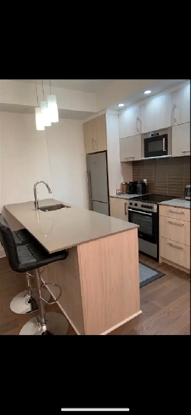 1 Bedroom   Flex Furnished Brand New Unit - The Bowery Image# 1