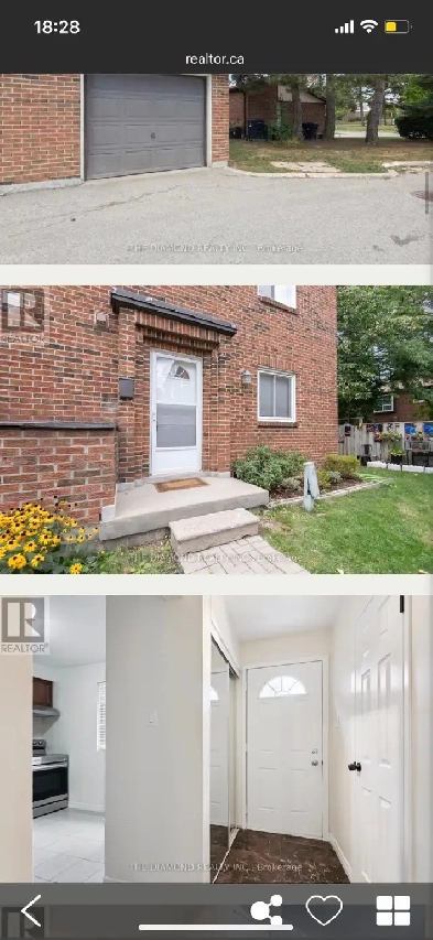 4 Rooms for Rent - available now Image# 1